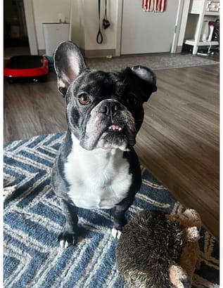 2024 April’s Client of the Month