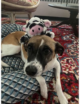 2023 January’s Client of the Month