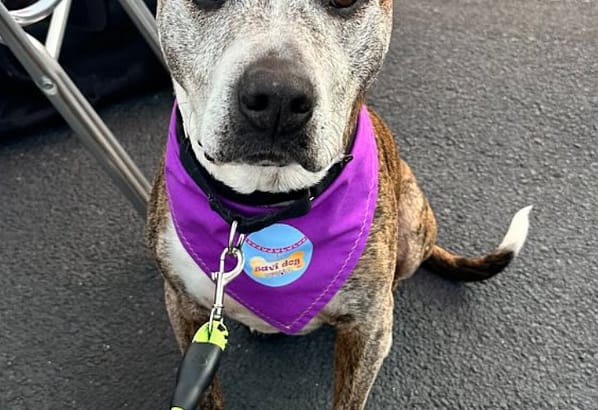 2024 February’s Client of the Month