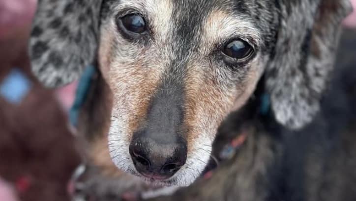 2025 March’s Client of the Month