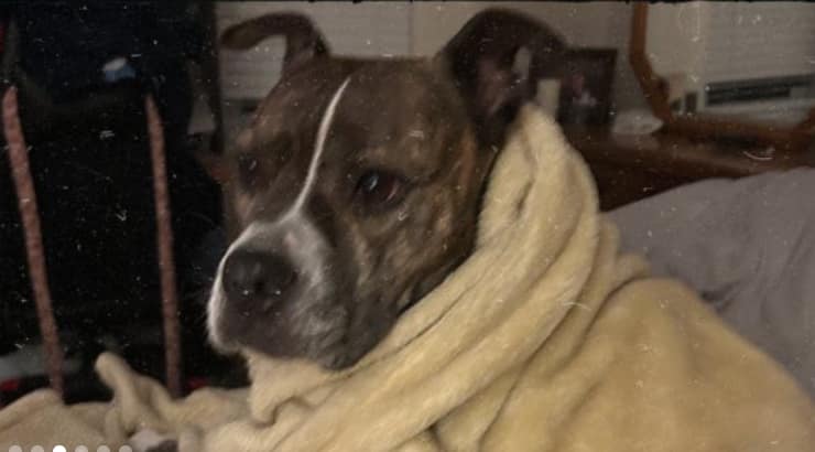 2023 June’s Client of the Month