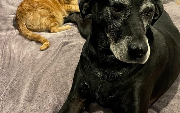 2025 July’s Client of the Month