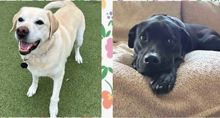 2024 May’s Client of the Month