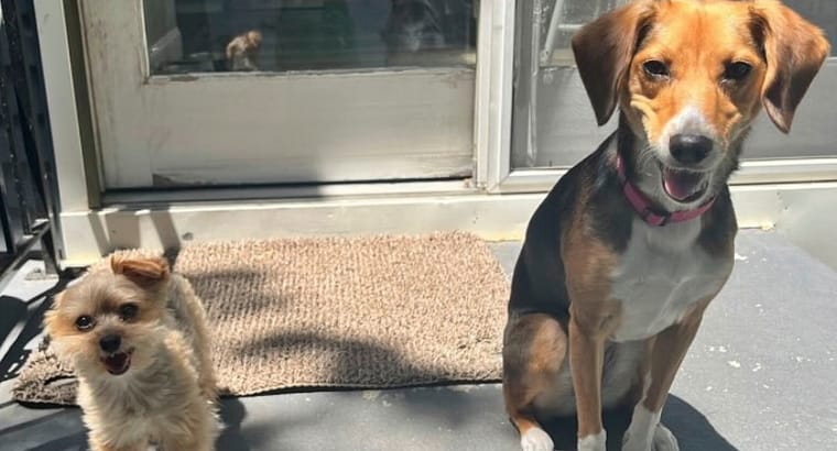 2024 July’s Client of the Month