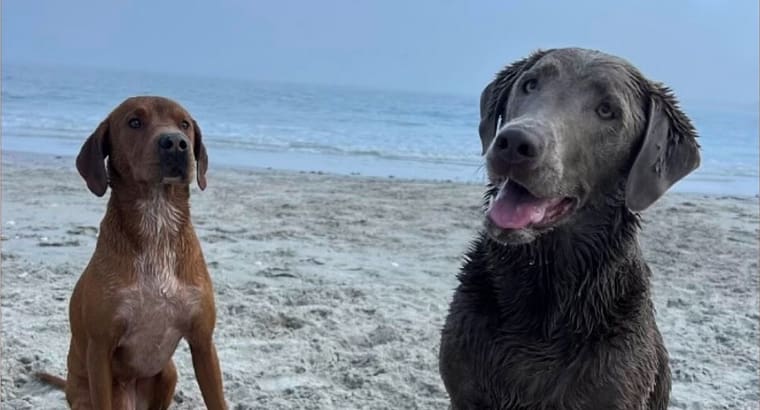 2024 August’s Client of the Month