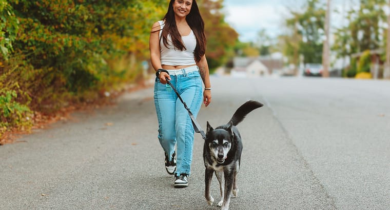 Dog Walking Helps Keep Your Dog Sane