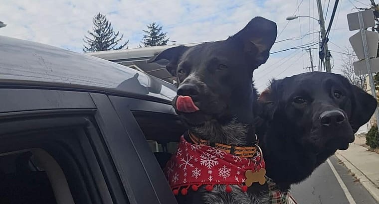 2025 February’s Clients of the Month