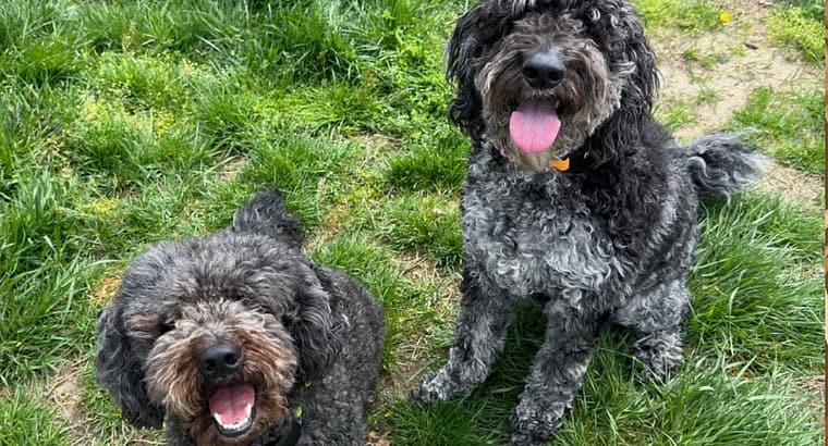 2024 September’s Client of the Month