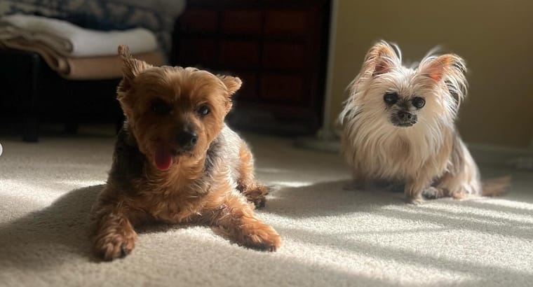 2024 October’s Clients of the Month