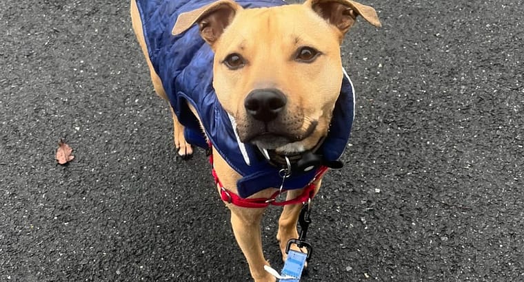 2024 November’s Client of the Month