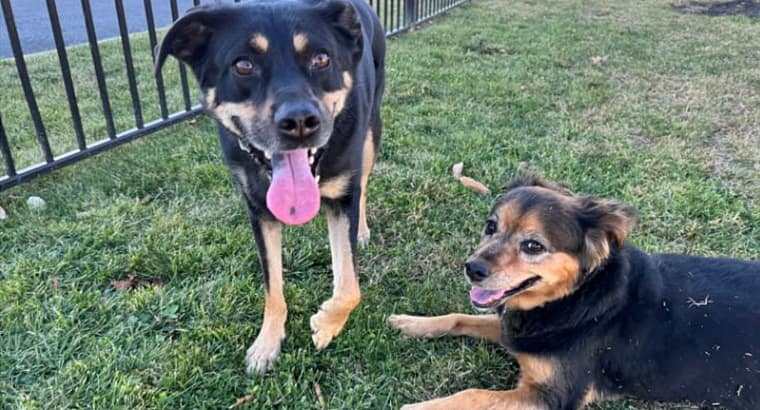 2024 December’s Clients of the Month