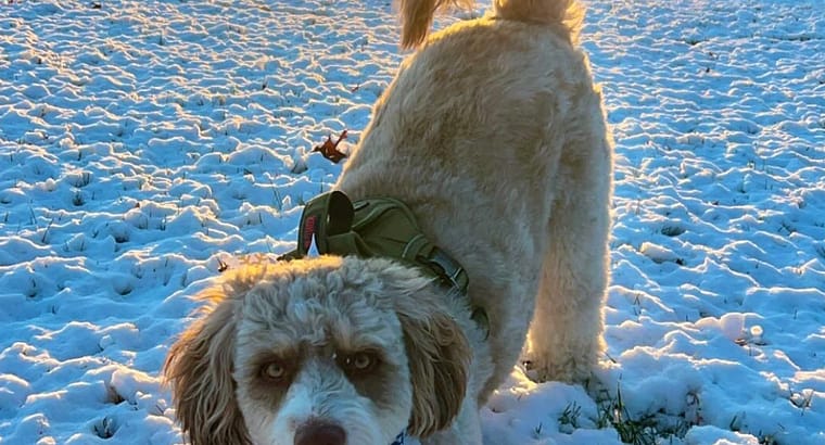 2025 January’s Client of the Month