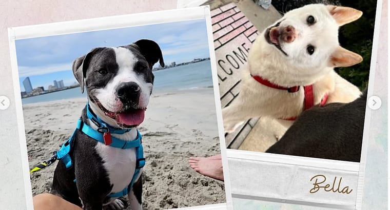 2024 March’s Clients of the Month