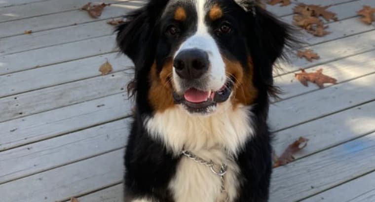 2023 December’s Client of the Month