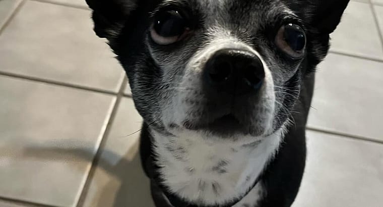 2023 November’s Client of the Month