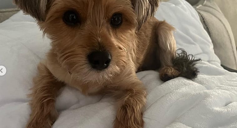 2023 September’s Client of the Month