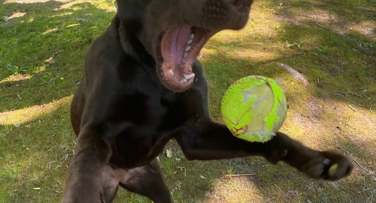 2023 July’s Client of the Month