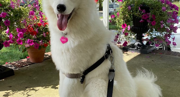 2023 May’s Client of the Month