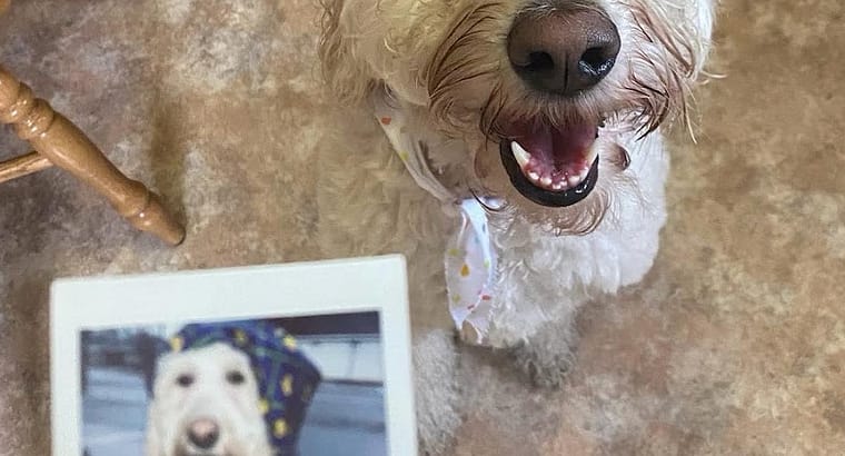 2023 April’s Client of the Month