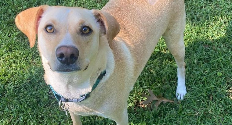 2023 March’s Client of the Month