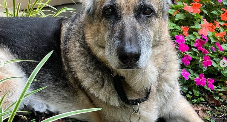 2023 February’s Client of the Month