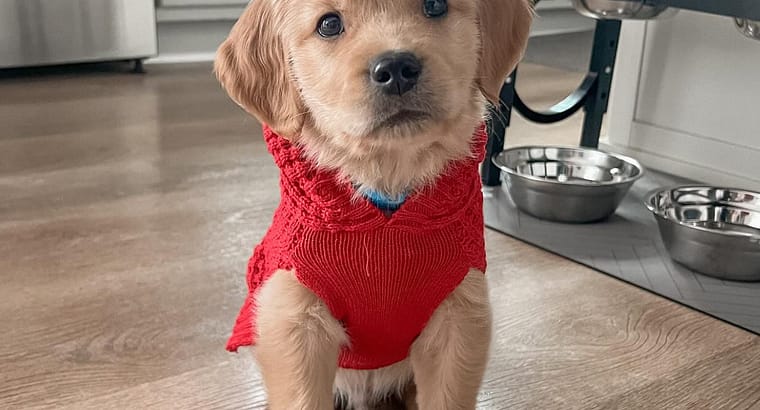 2025 April’s Client of the Month