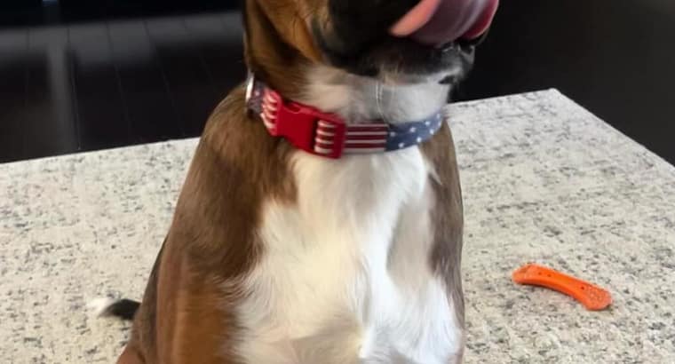 2025 May’s Client of the Month