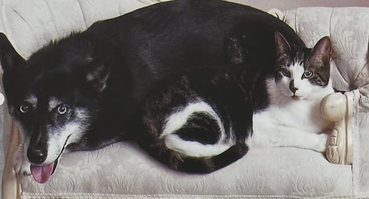 2025 June’s Client of the Month