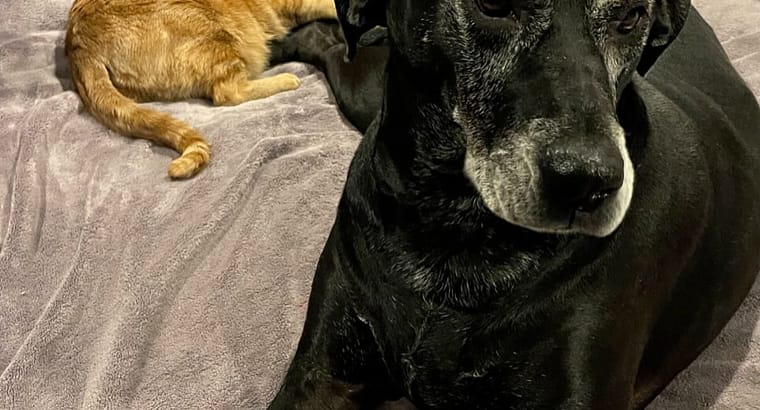 2025 July’s Client of the Month