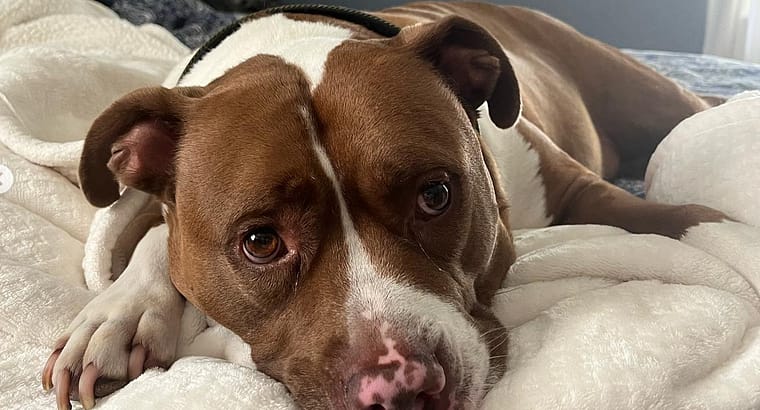 2023 August’s Client of the Month